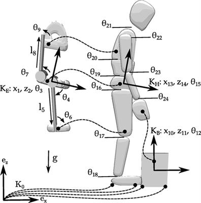 Predicting the Motions and Forces of Wearable Robotic Systems Using Optimal Control